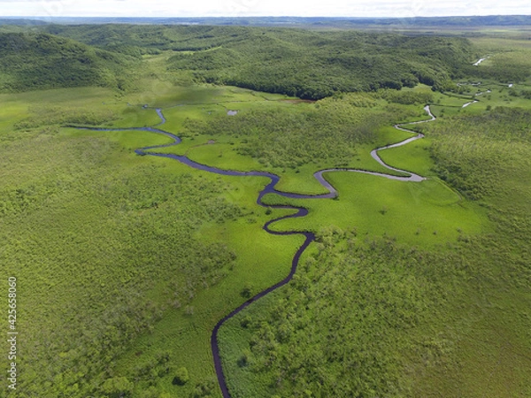 Obraz 空撮・夏の釧路湿原（北海道・鶴居村）
