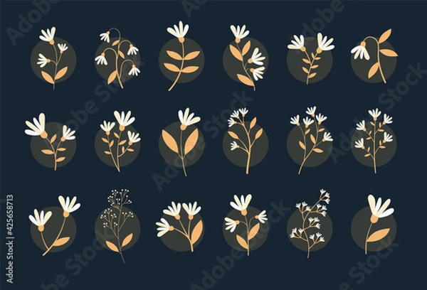 Obraz Yellow And White Flower Set