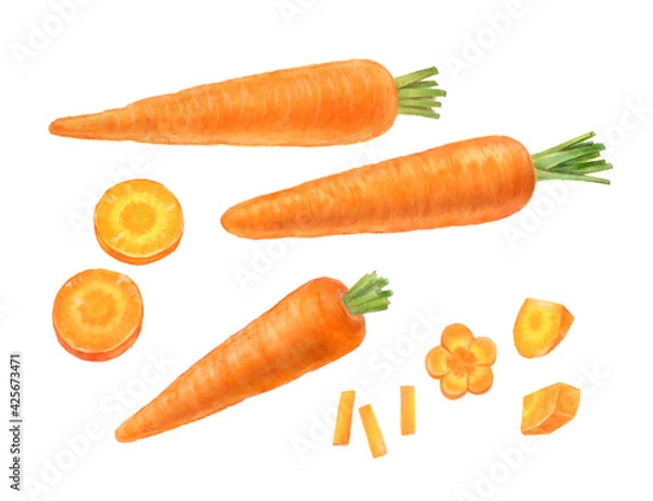 Obraz 野菜　にんじん  カットしたニンジンの手描きイラスト