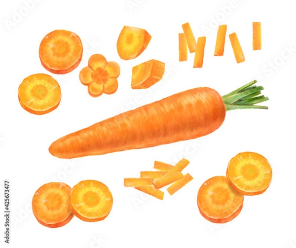 Obraz 野菜　にんじん  カットしたニンジンの手描きイラスト