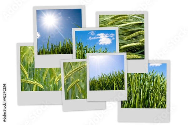 Obraz Countryside theme photo collection
