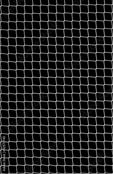 Fototapeta Soccer Net on Black