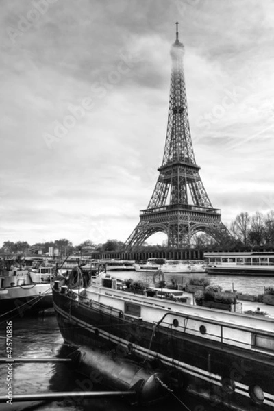 Obraz Eiffel Tower River View