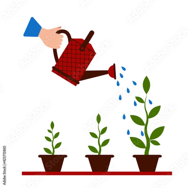 Obraz Watering seedlings with a garden watering can. Young garden shoots. Water is pouring out of the watering can. Watering can holding in hand. Drops of water falling.