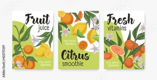 Fototapeta Packaging templates with tropical citrus fruits. Set of lemon, orange, mandarin, tangerine and grapefruit backgrounds or vertical banners. Colored realistic vector illustration of packing design
