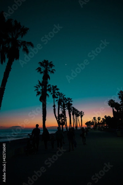 Obraz nightsky los angeles