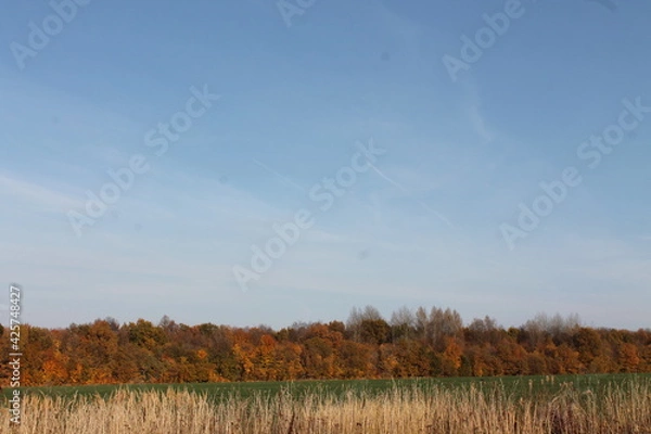 Fototapeta Нижегородская область, Россия, Каменищи.