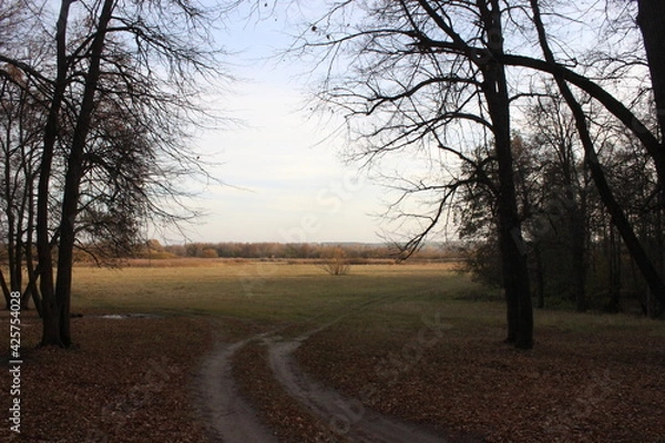 Fototapeta Nizhny Novgorod region, Russia, Krasnaya Glinka.