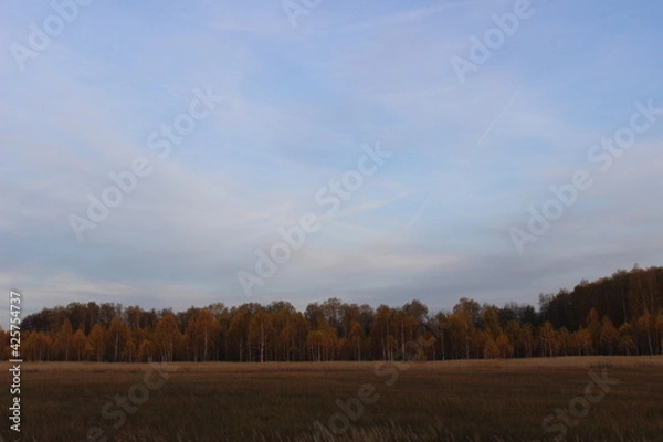 Fototapeta Nizhny Novgorod region, Russia, Krasnaya Glinka.