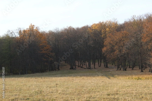 Fototapeta Нижегородская область, Россия, Красная Глинка.