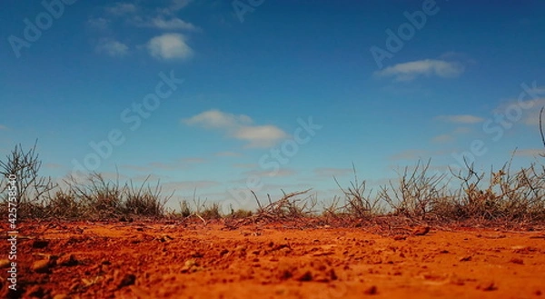 Obraz Flat desert plain with no trees