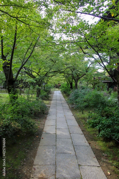 Fototapeta 緑に覆われた京都の寺院の境内