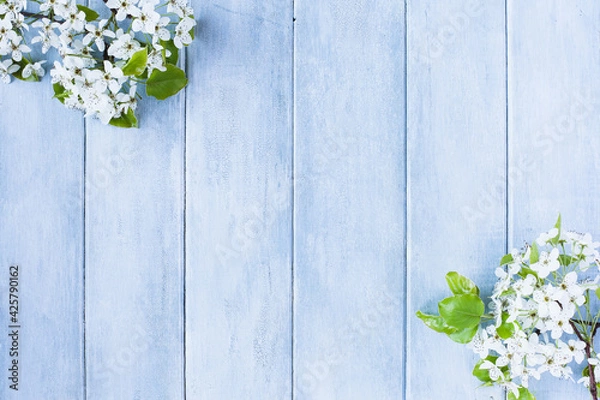 Fototapeta Flowering spring pear or apple blossoms over a blue rustic background with free space for text.
