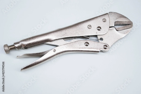 Obraz Lock pliers