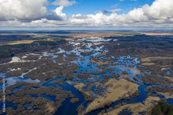Fototapeta Water fields, spring floods on the Berezina River! Flooded forest in the floodplain!