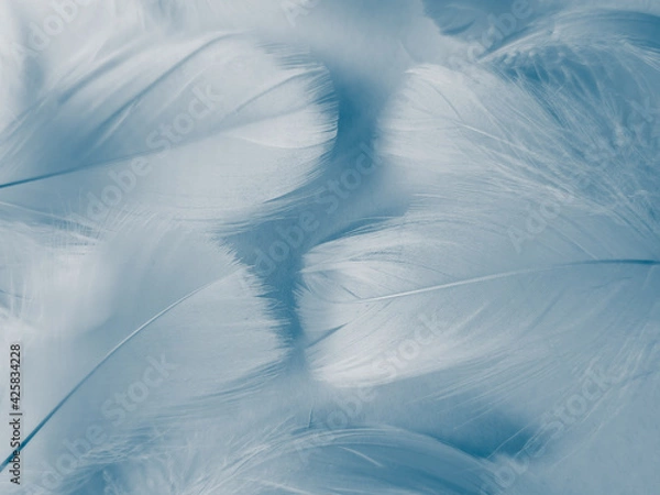 Fototapeta Beautiful abstract blue feathers on white background, white feather texture and blue background, feather wallpaper, blue texture banners, love theme, valentines day, light blue texture, white gradient