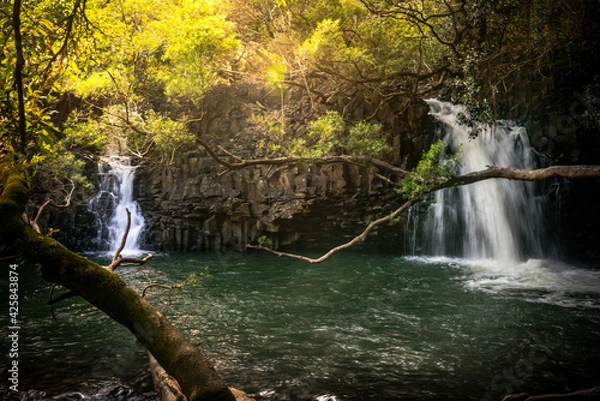 Obraz tropical waterfall