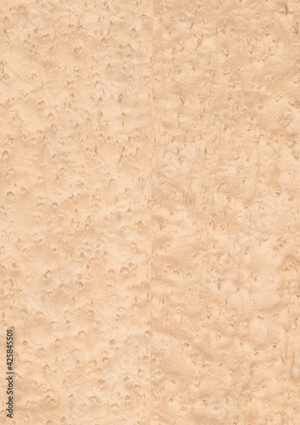 Obraz Vogelaugenahorn