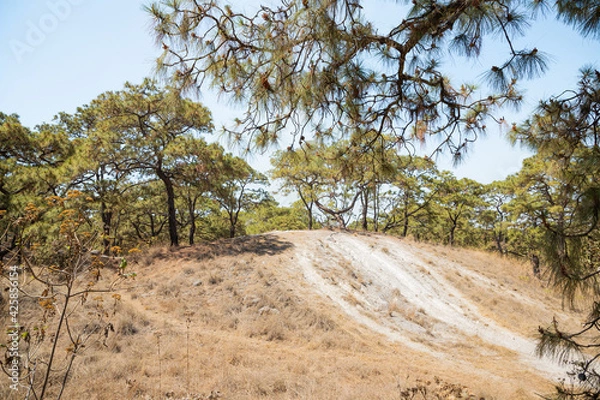 Fototapeta erosión del suelo 