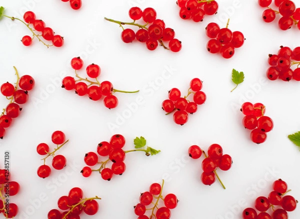 Fototapeta Clusters of red currant are scattered around. Red currant is scattered on a white background.