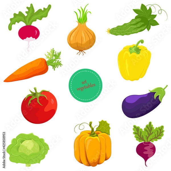 Obraz Set of vegetables. Vector illustration of colorful vegetables