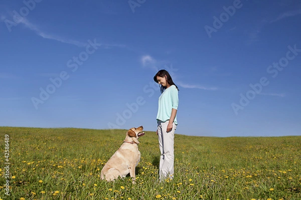 Fototapeta dog trainer