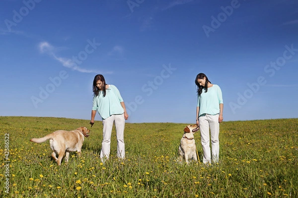 Fototapeta dog trainer