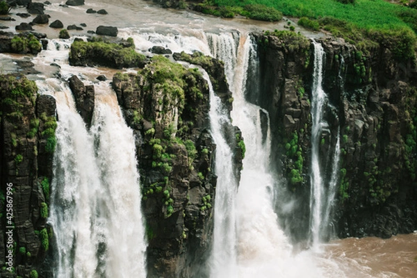 Obraz Iguazu Falls waterfall forest tropical 