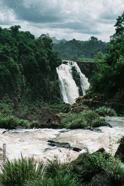 Obraz Iguazu Falls waterfall forest tropical 