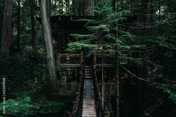 Fototapeta Building in a heights of green moody forest