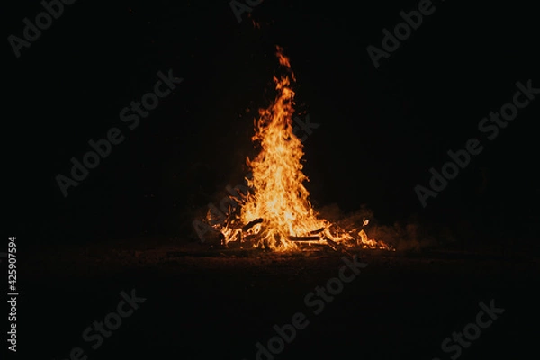 Obraz fire in the fireplace