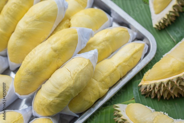 Fototapeta The golden yellow durian is placed on a stainless steel tray with a banana leaf background. Ripe durian, the king of fruits of Thailand