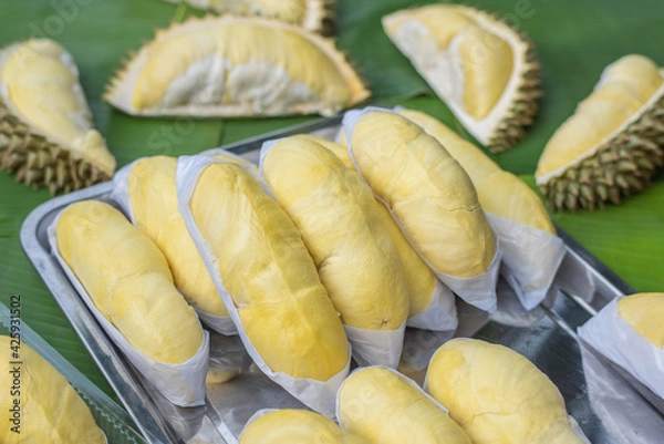 Fototapeta The golden yellow durian is placed on a stainless steel tray with a banana leaf background. Ripe durian, the king of fruits of Thailand