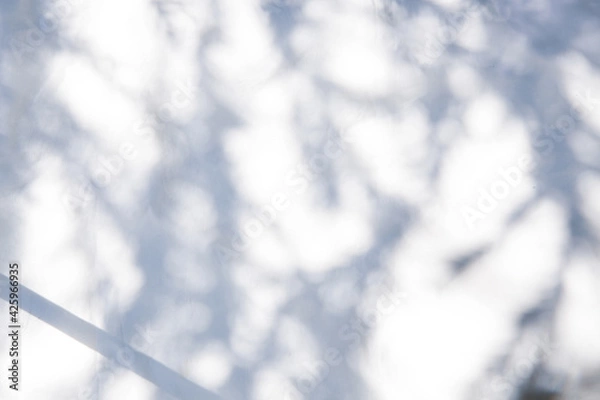 Obraz 白のファブリックに置かれたドライフラワーと小物雑貨のフレーム