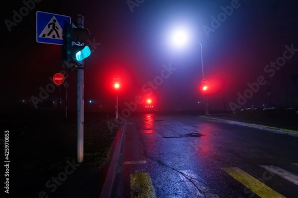 Obraz Night road in the city, cloudy weather, traffic lights, pedestrian crossing, fog (soft focus, bokeh)