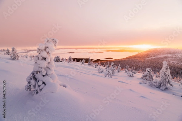 Obraz China's popular travel destination, Xinjiang, natural scenery in winter. Snow-covered forest, extremely cold environment.