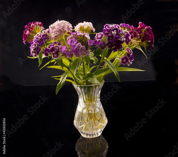 Obraz Bouquet in a vase