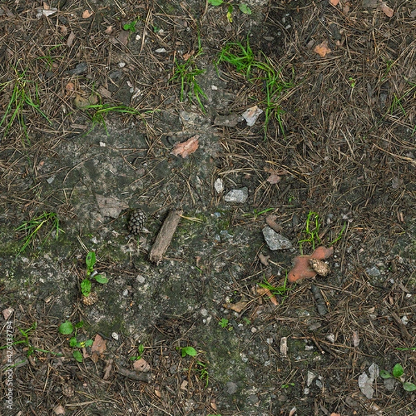 Fototapeta Seamless forest gravel ground texture