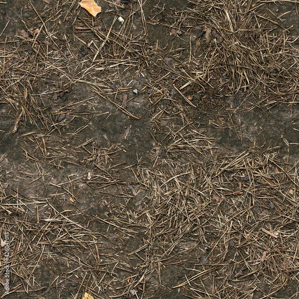 Obraz Seamless forest dirty ground texture
