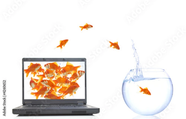 Obraz digital to real