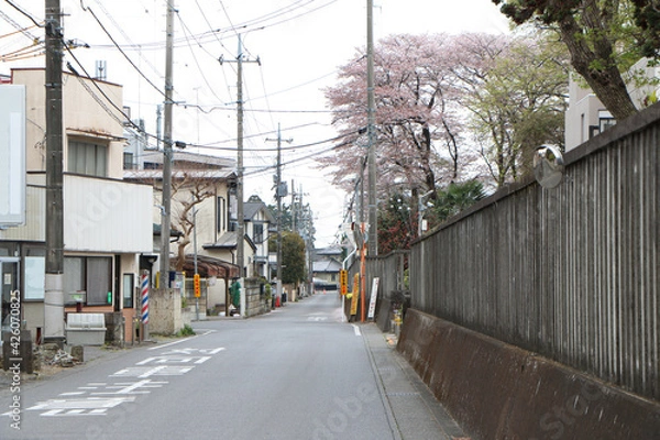 Fototapeta 住宅と塀に挟まれた狭い道路