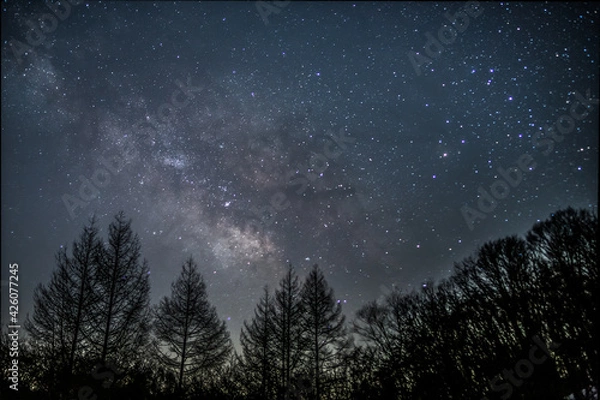 Fototapeta 戸隠高原鏡池から星空