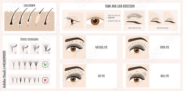 Fototapeta Eyelash growth, eyelash extensions types and styles. Illustration with instructions and guides for lash masters. Vector.