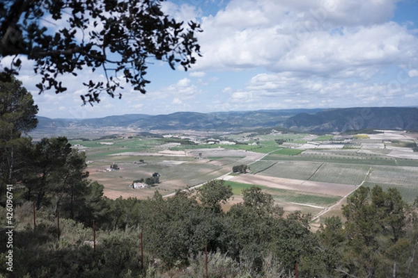 Obraz view from the hill