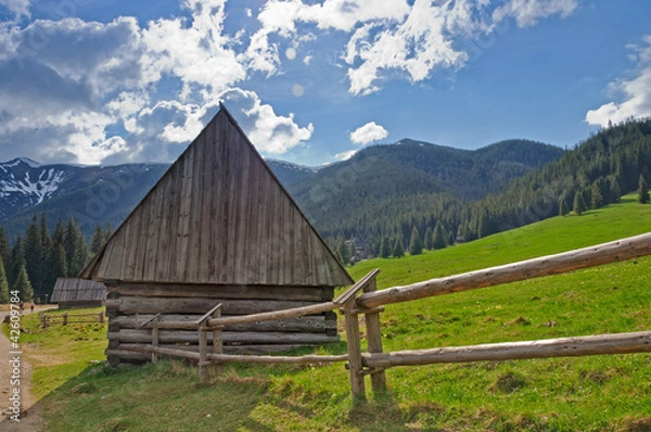 Fototapeta Tatry-Dolina Chochołowska szalas