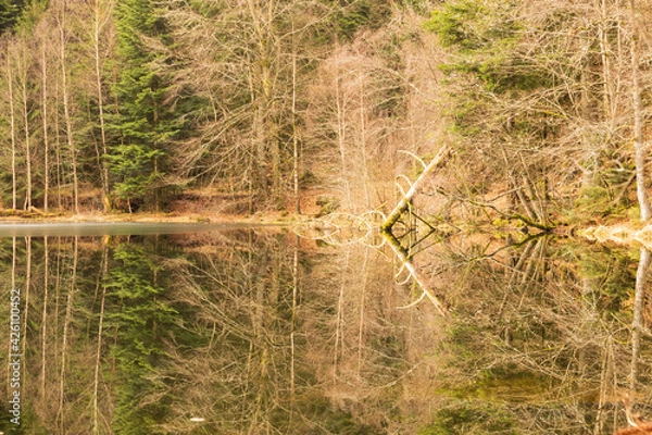 Fototapeta Reflection