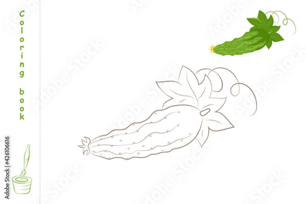 Fototapeta Coloring book cucumber with example
