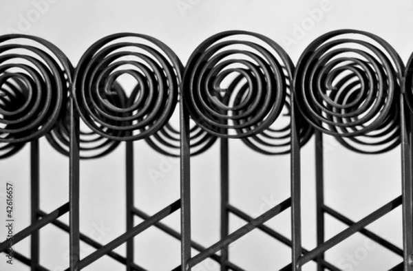 Obraz Decorative iron fence