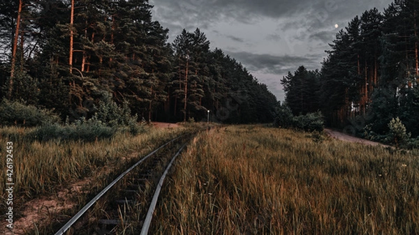 Obraz Old railway in the forest