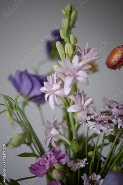 Obraz purple and white